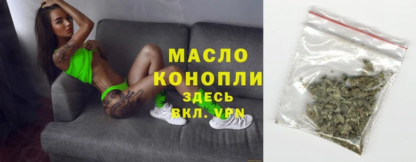 молекула духа Михайловск