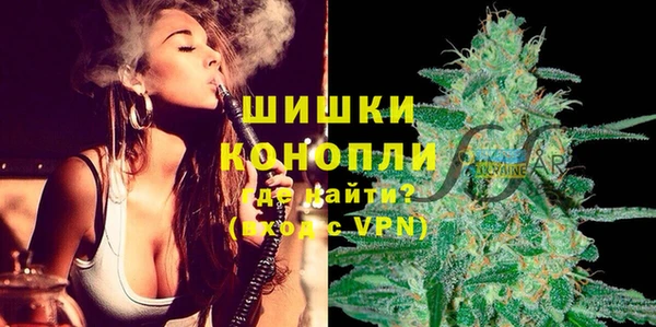 молекула духа Михайловск