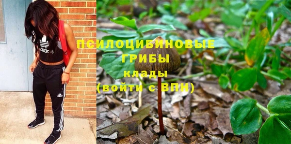 альфа пвп Михайловка