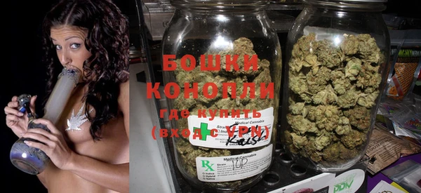 молекула духа Михайловск