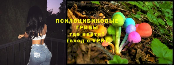 mdma Медвежьегорск