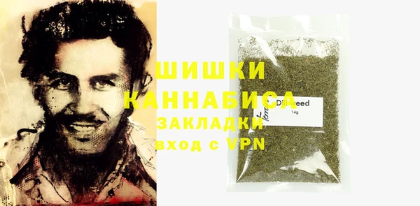молекула духа Михайловск